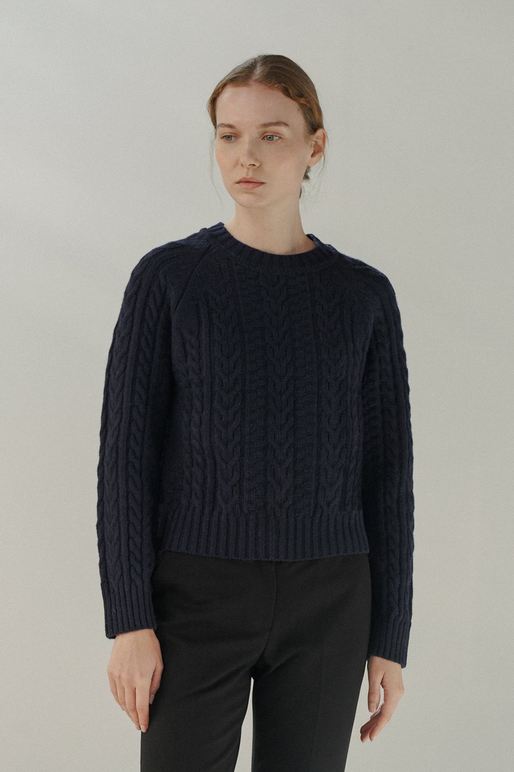 Cable Round-neck Knit (Navy)